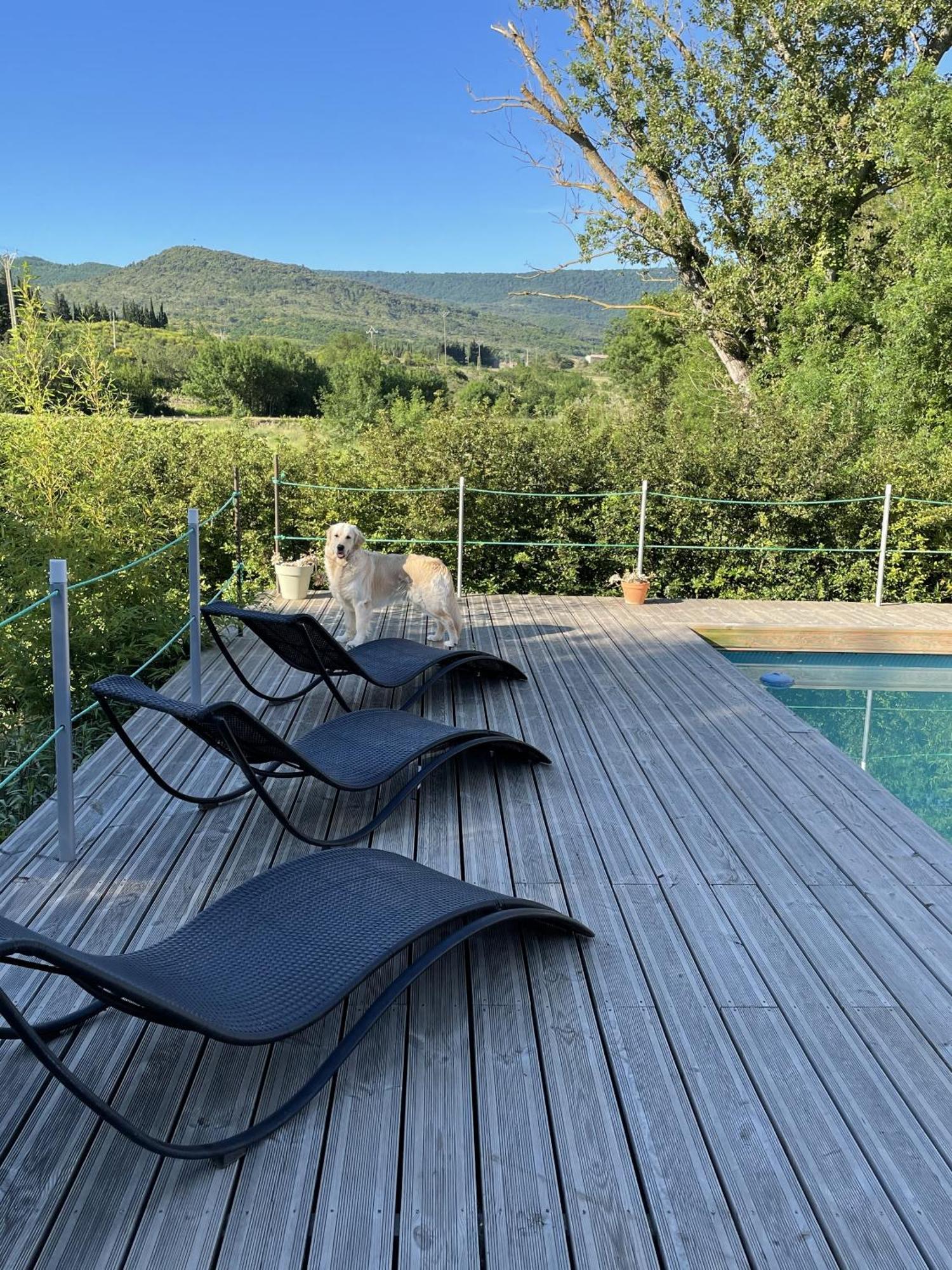 Le Domaine De La Tuilerie - Gite De Charme En Bord De Riviere Avec Piscine Servies-en-Val Eksteriør billede