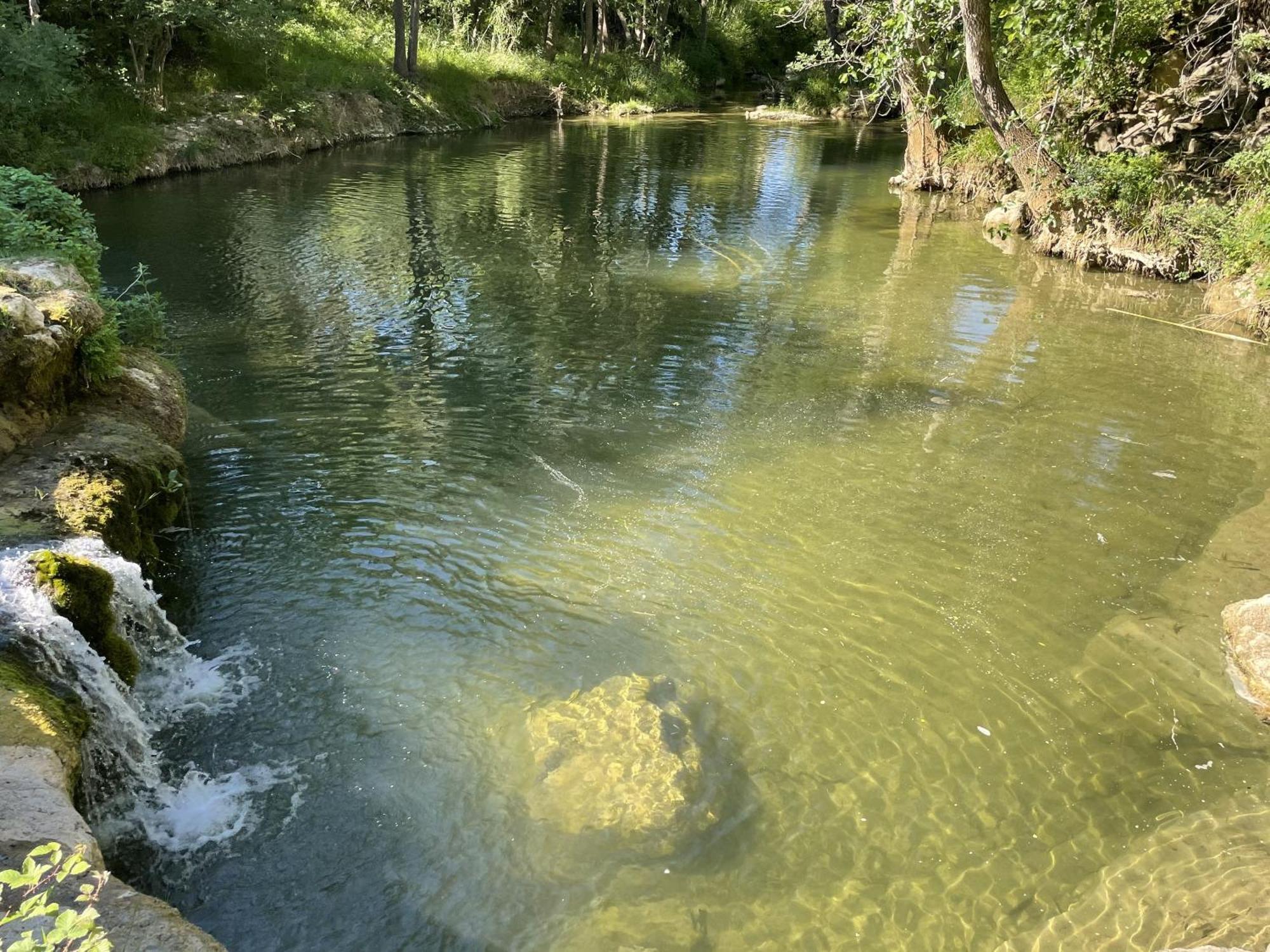 Le Domaine De La Tuilerie - Gite De Charme En Bord De Riviere Avec Piscine Servies-en-Val Eksteriør billede