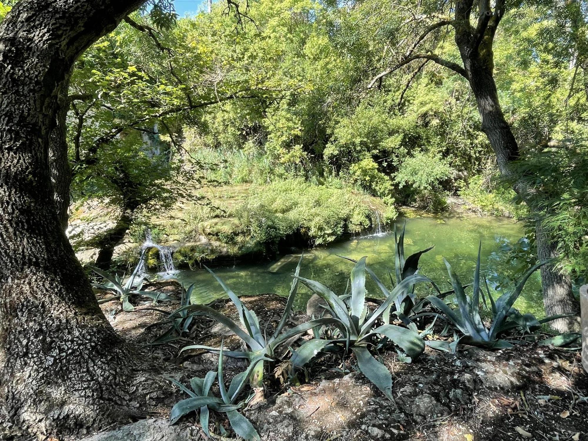 Le Domaine De La Tuilerie - Gite De Charme En Bord De Riviere Avec Piscine Servies-en-Val Værelse billede
